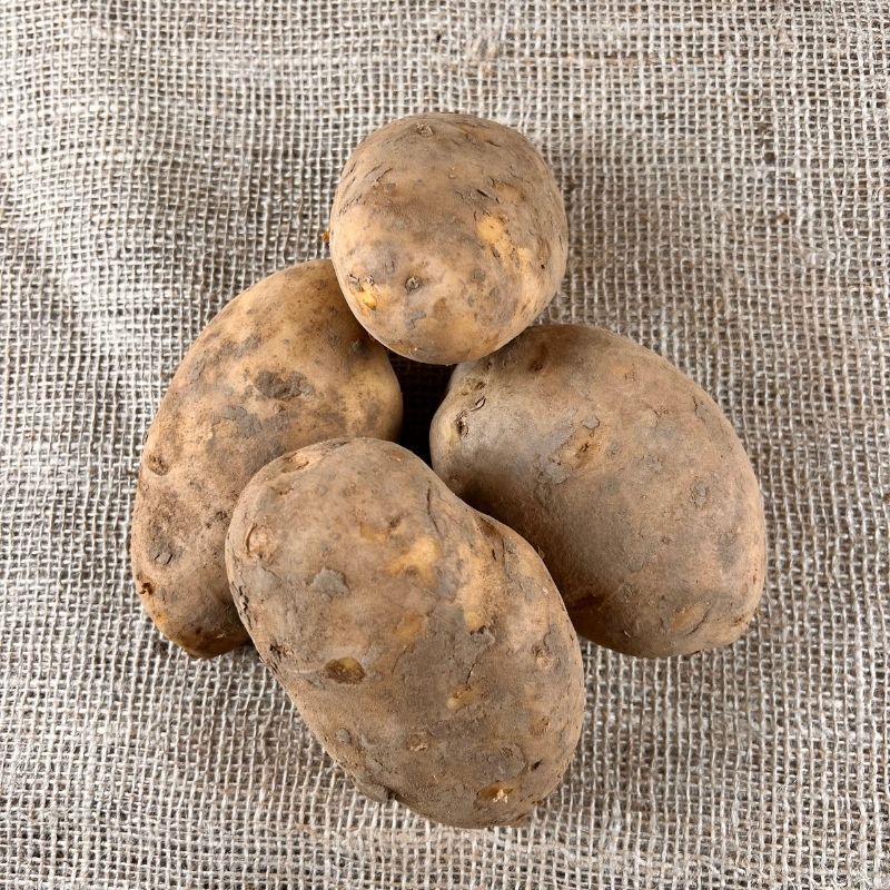 Agria aardappelen - Nieuwe oogst 2023 - Aardappelen voor friet