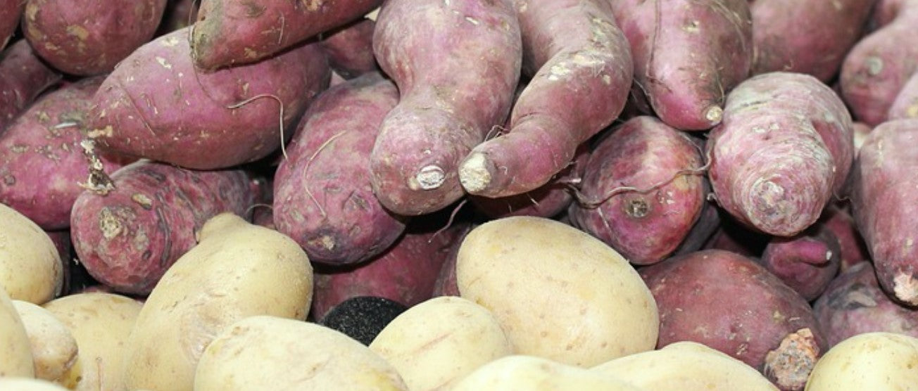 Koolhydraten in een normale en zoete aardappel