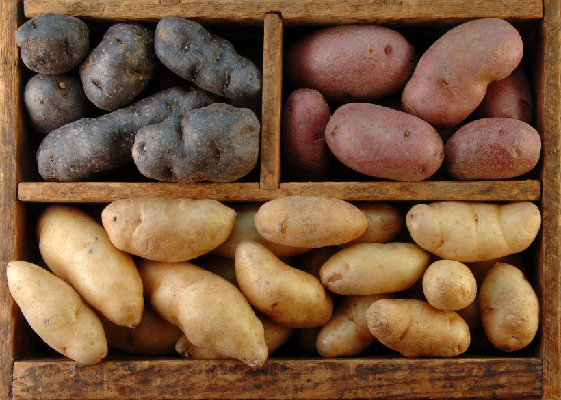 Aardappelen