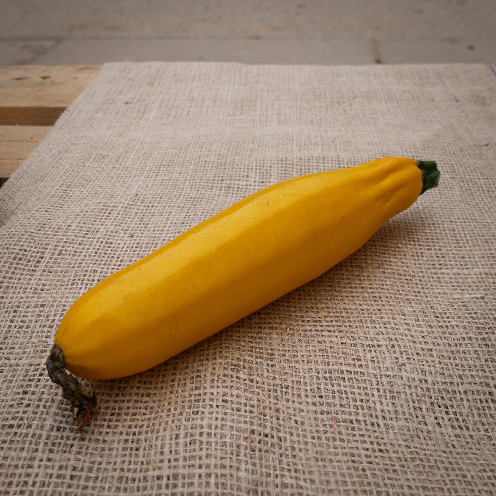 Gele Courgette