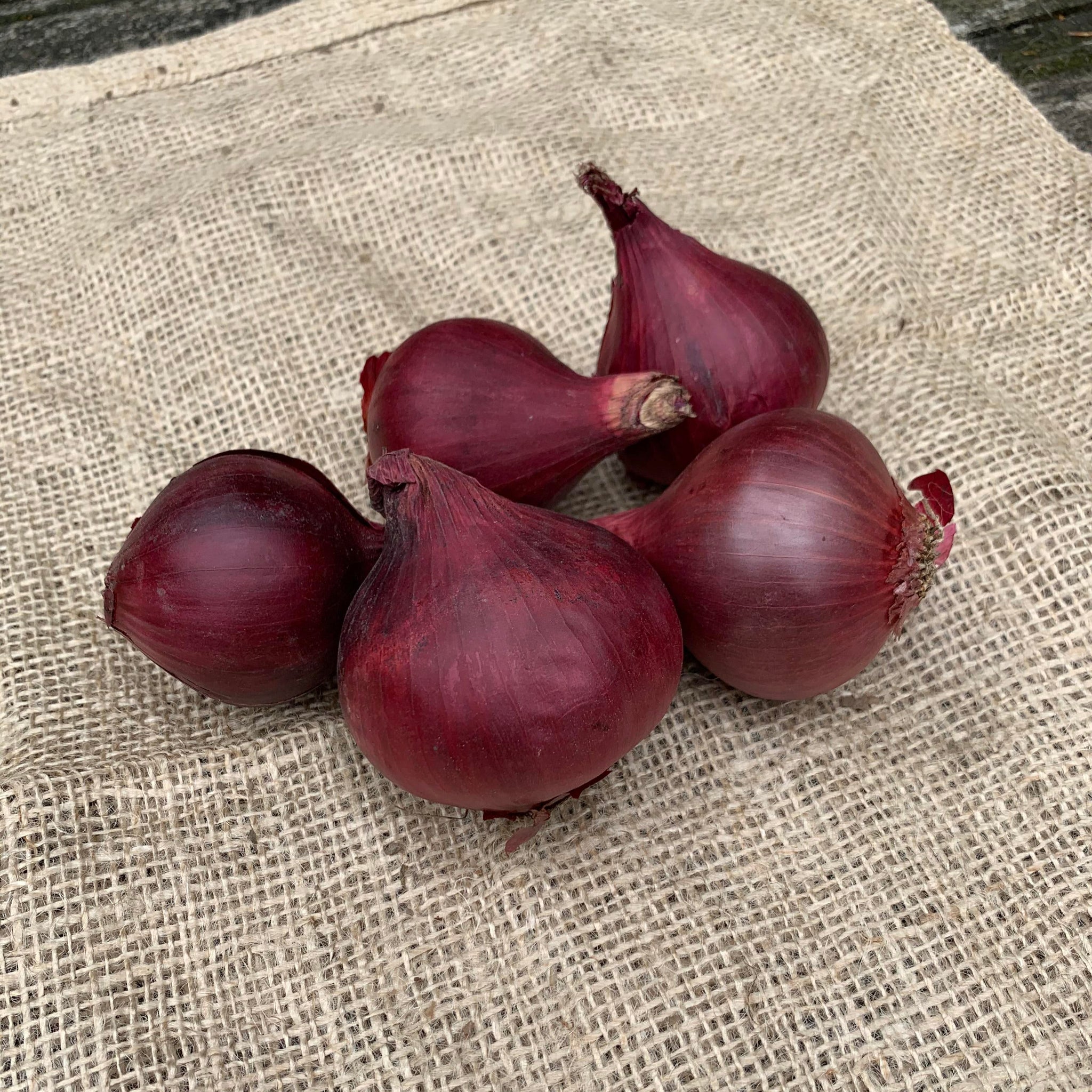 Rode Ui - Biologisch