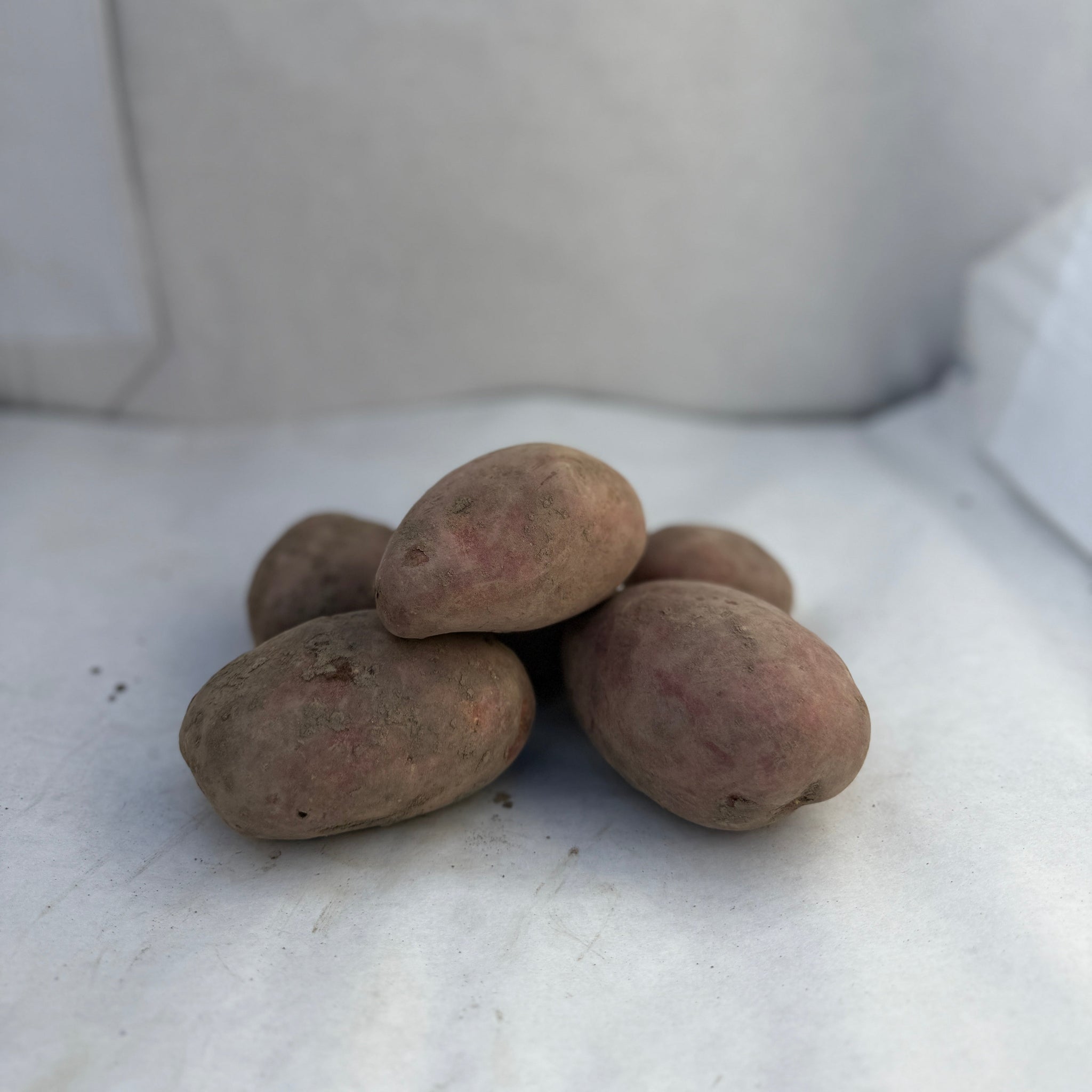 Laura - Biologische Aardappelen
