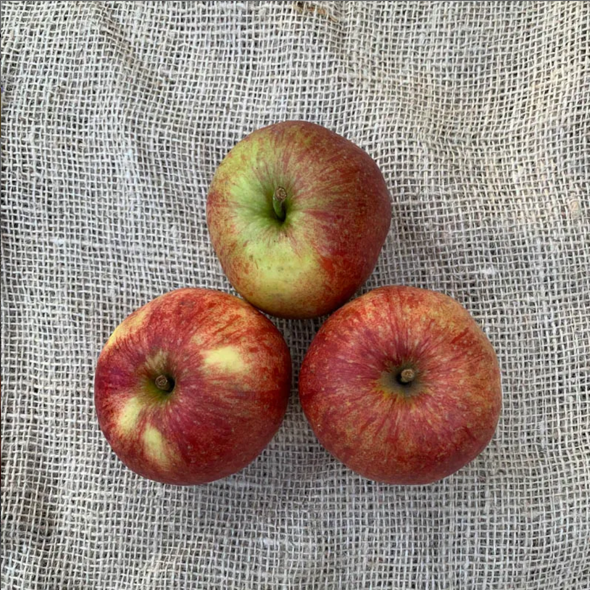 Jonagold Appels