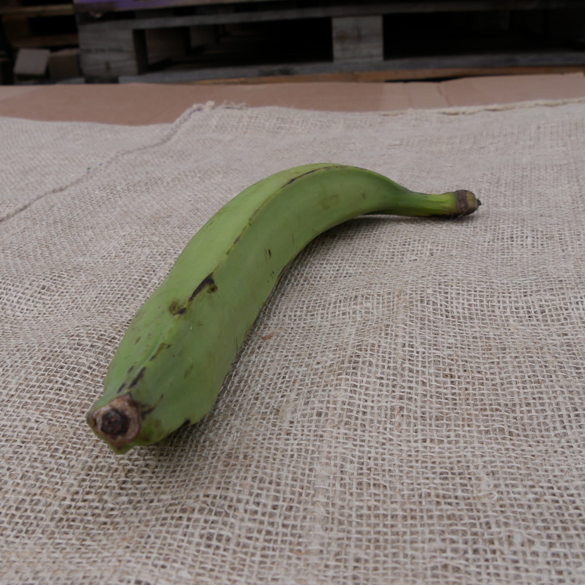 Bakbananen