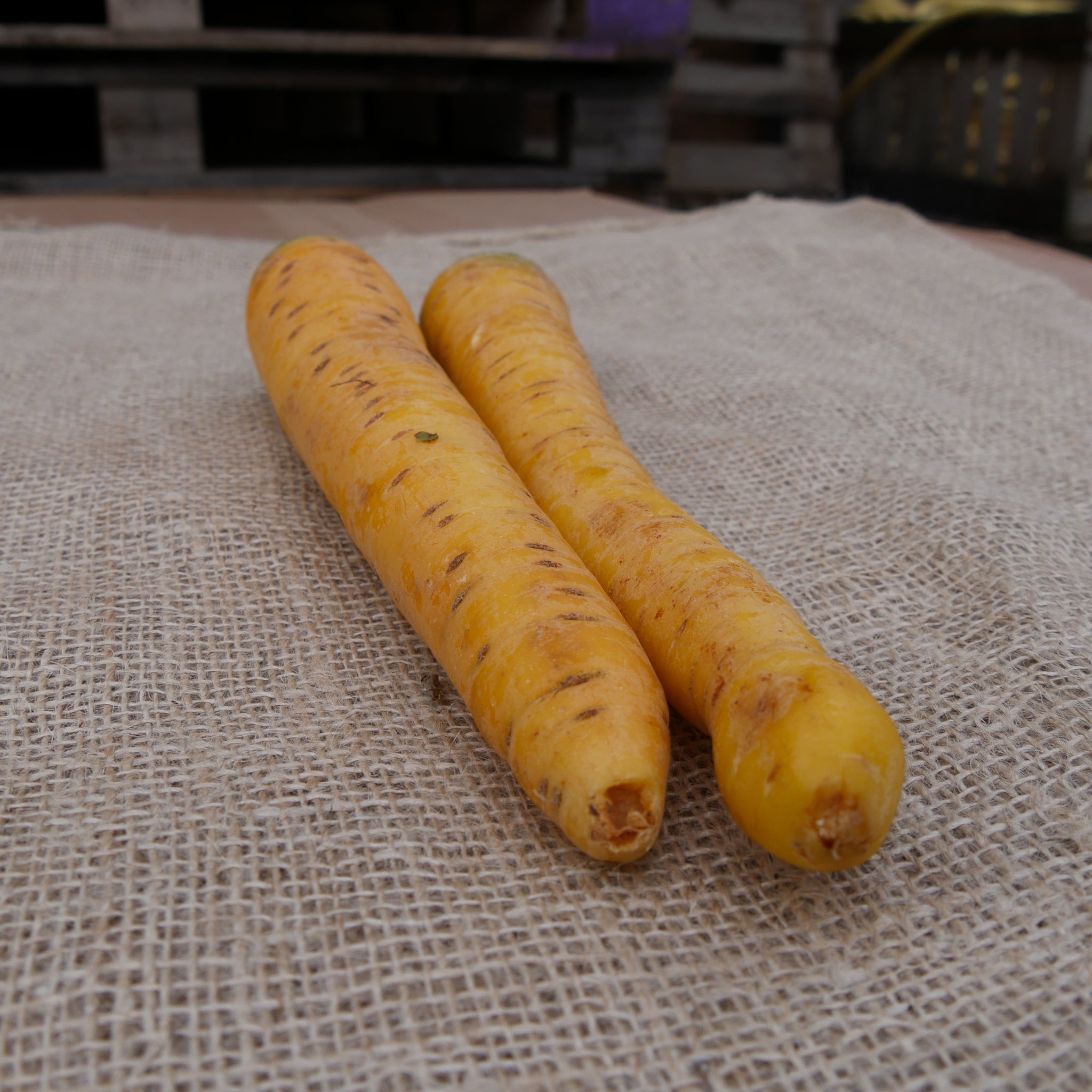 Winterpeen Geel