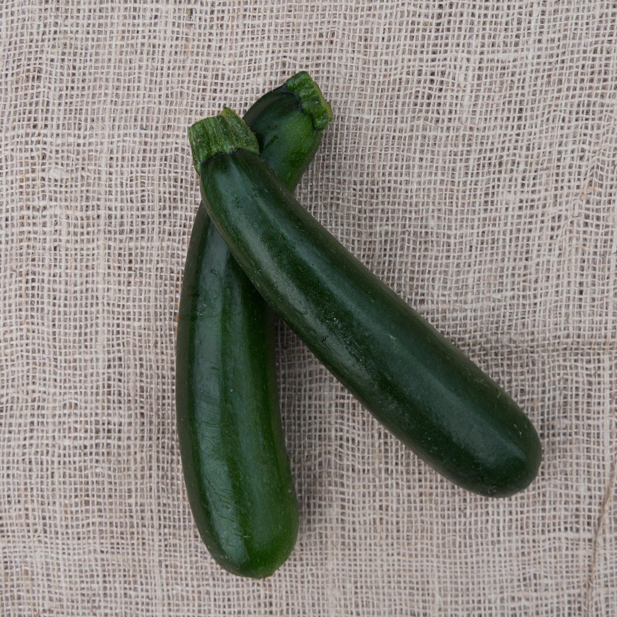 Courgette