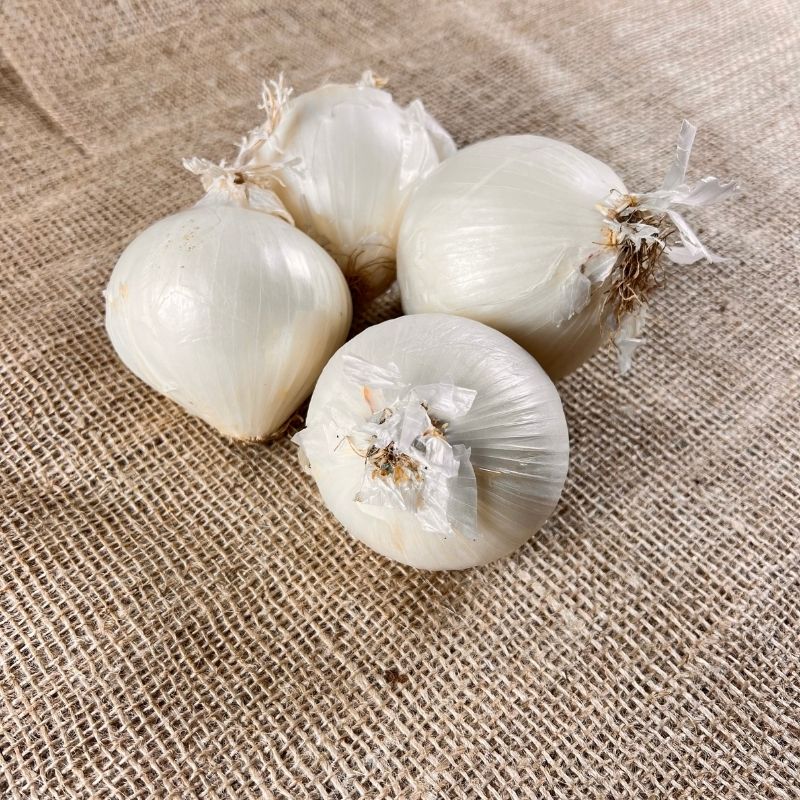 Witte uien