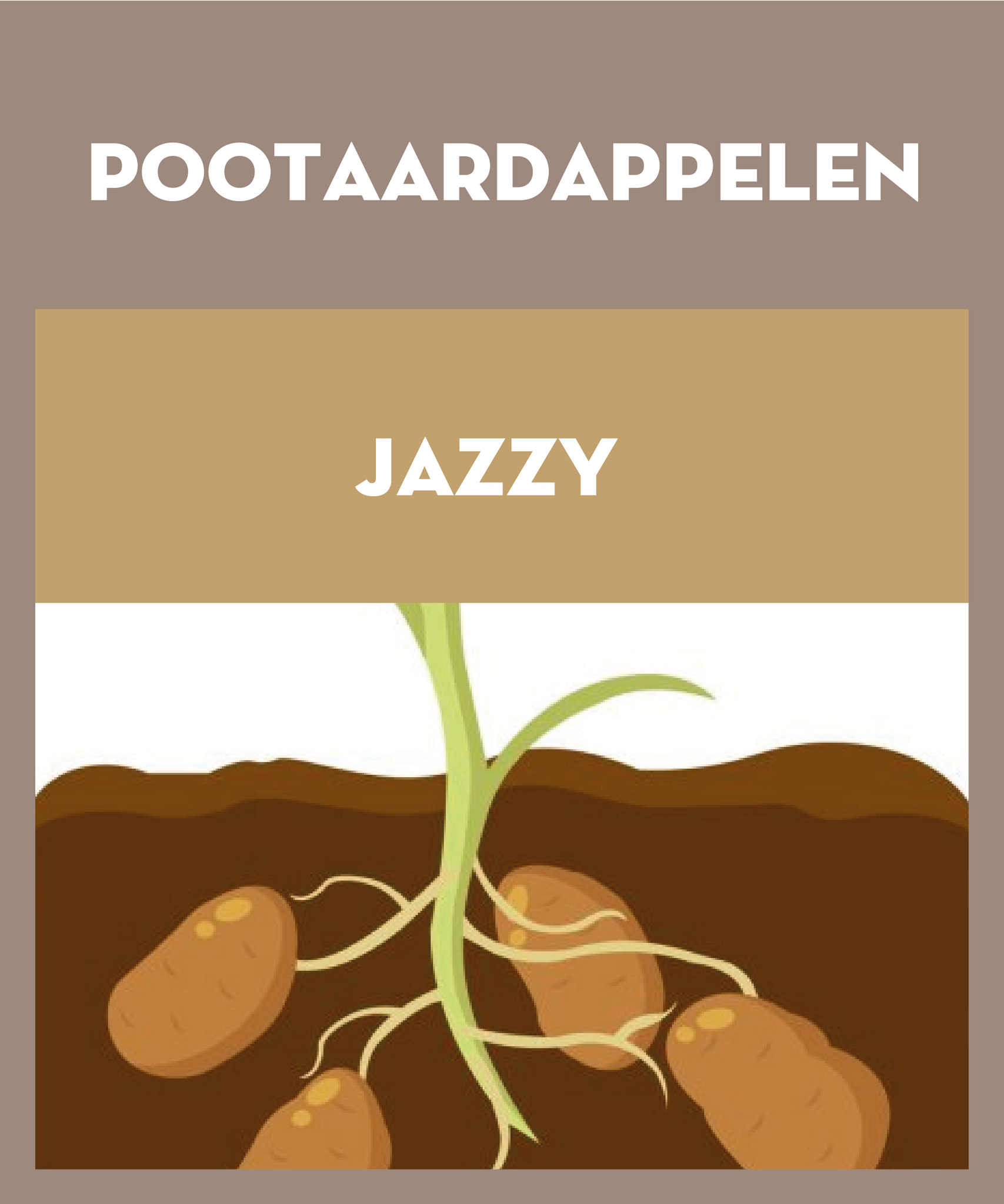 Jazzy pootaardappelen 2.5kg