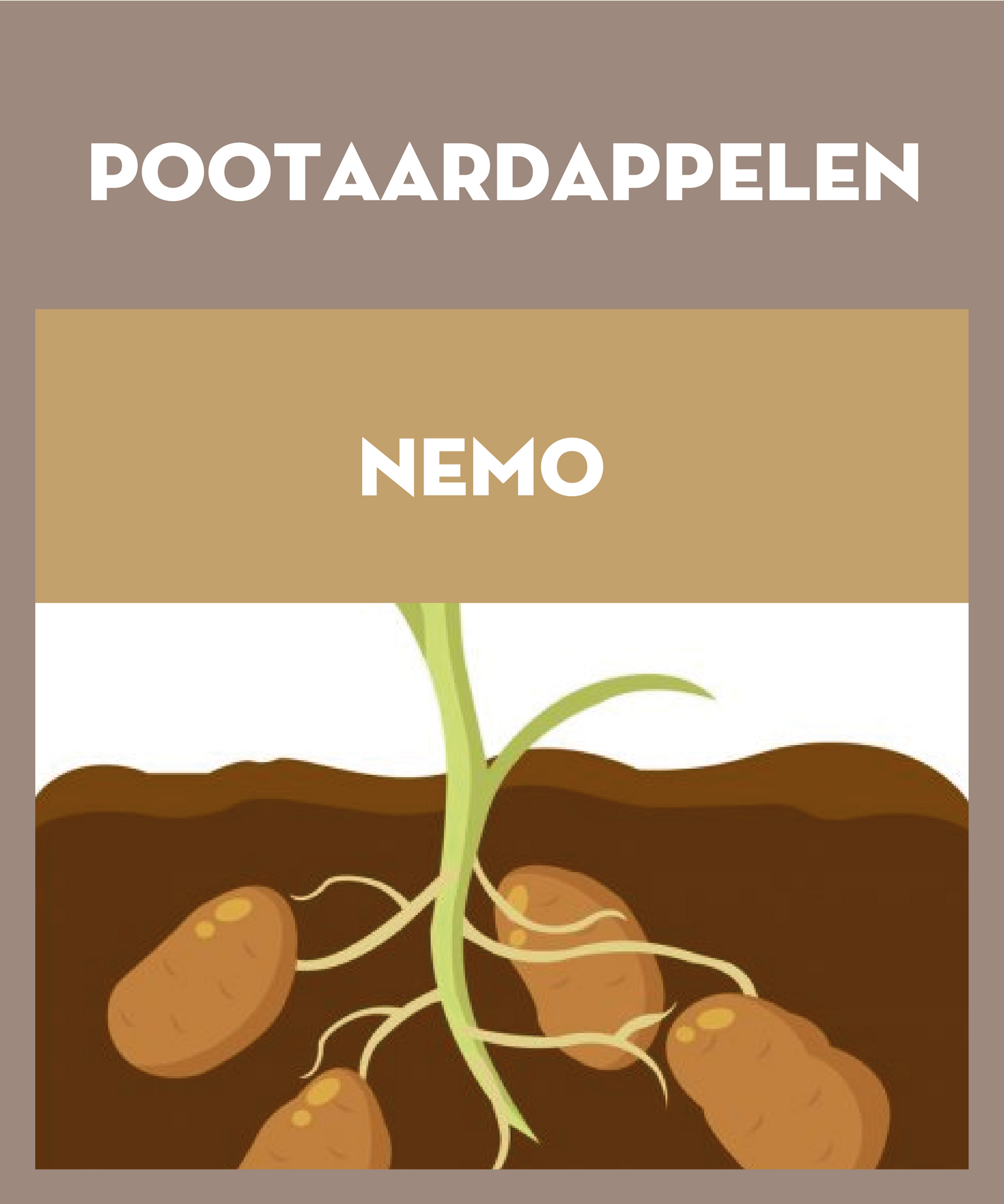 Nemo pootaardappelen 2.5kg