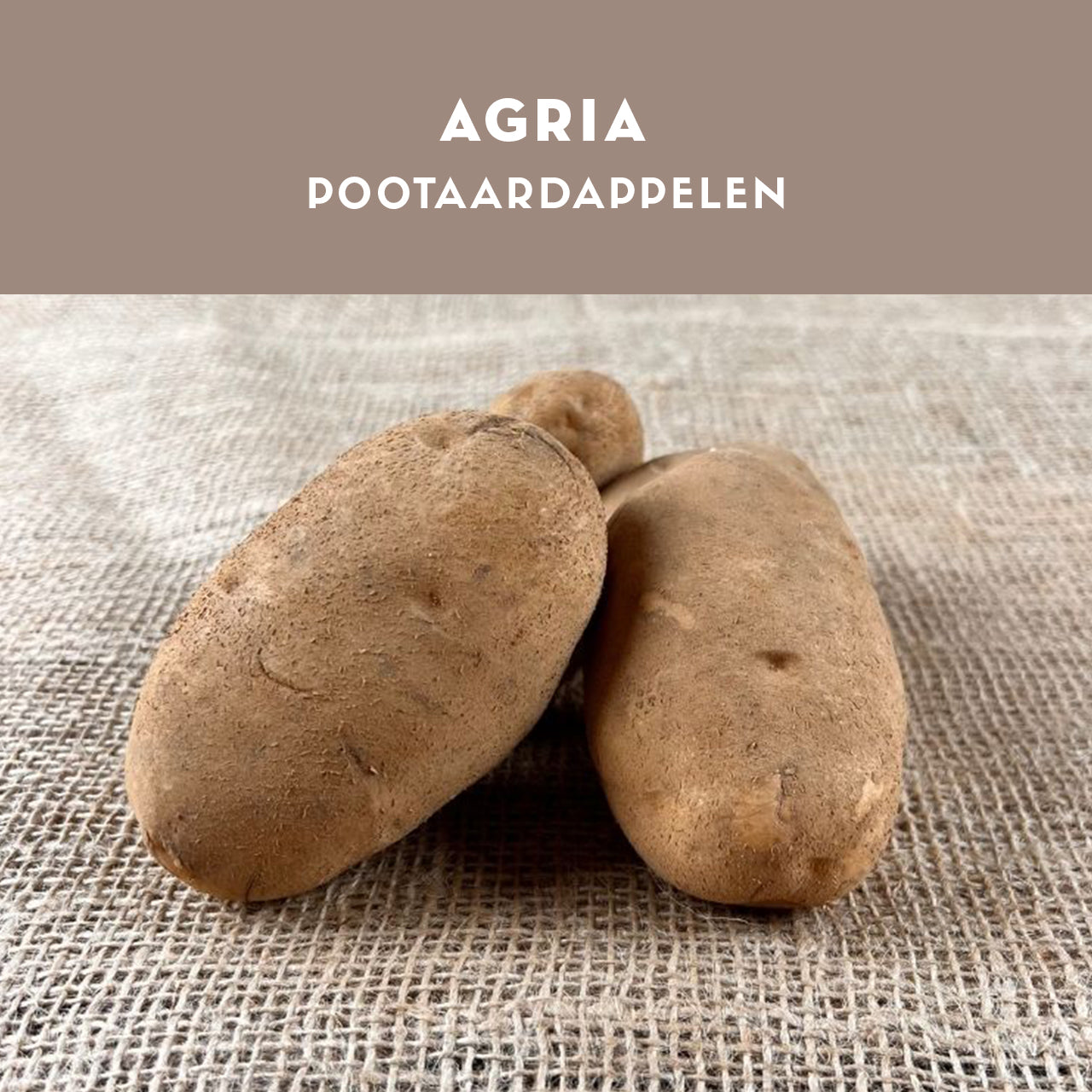 Agria pootaardappelen 28/35