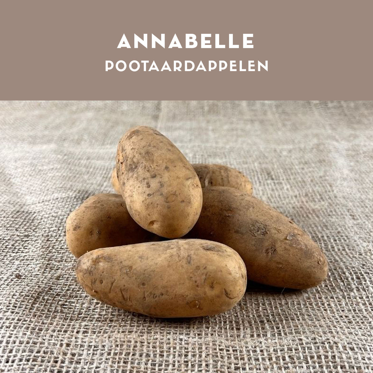 Annabelle pootaardappelen 28/32