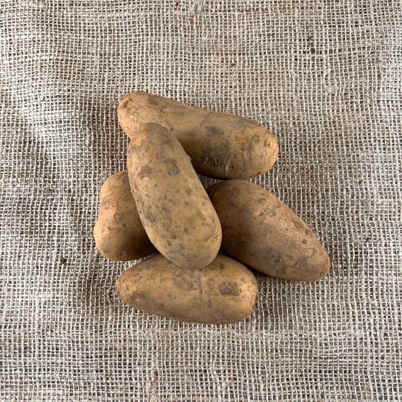 Annabelle aardappelen - Nieuwe Oogst 2023