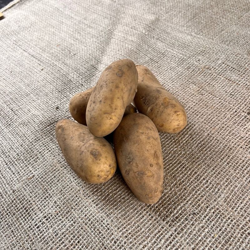 Annabelle aardappelen - Nieuwe Oogst 2023