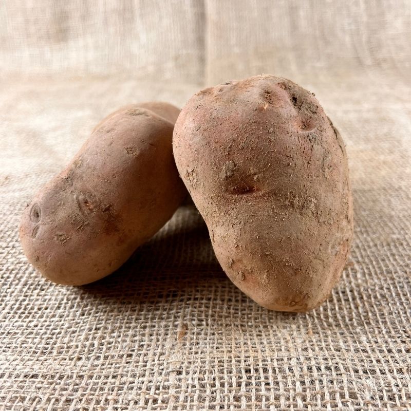 Bildtstar aardappelen