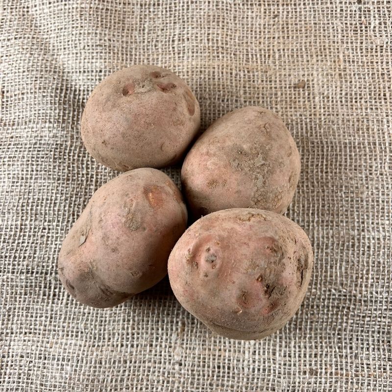 Bildtstar aardappelen