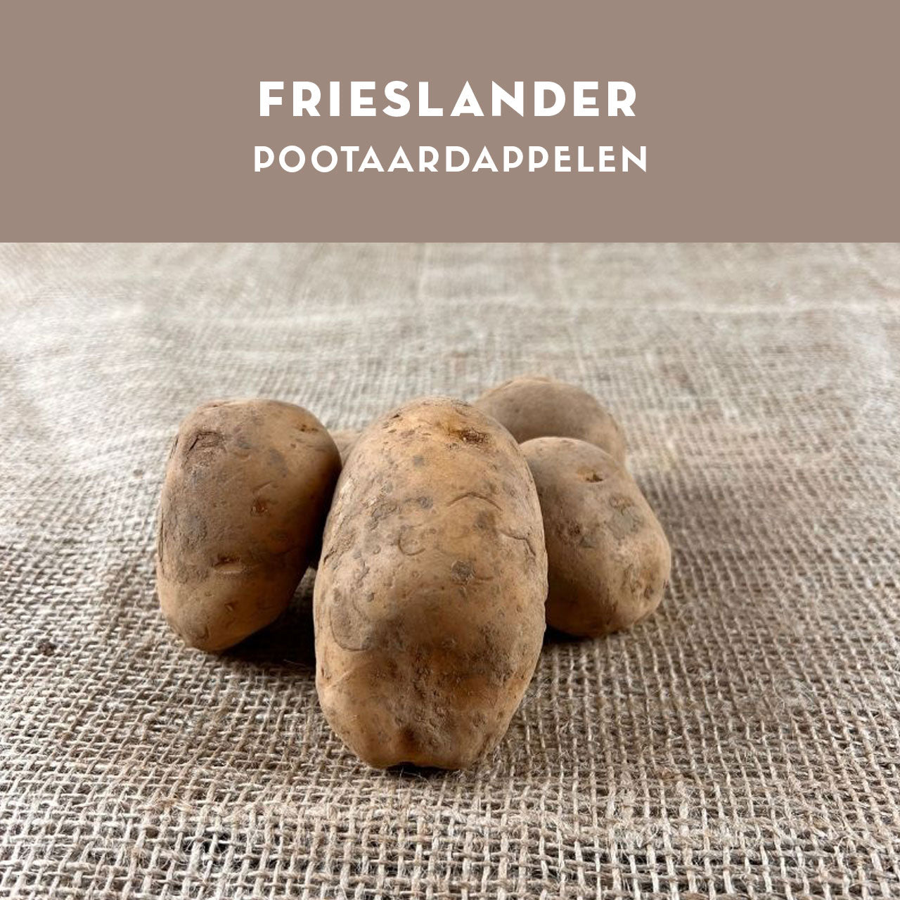 Frieslander pootaardappelen 28/40