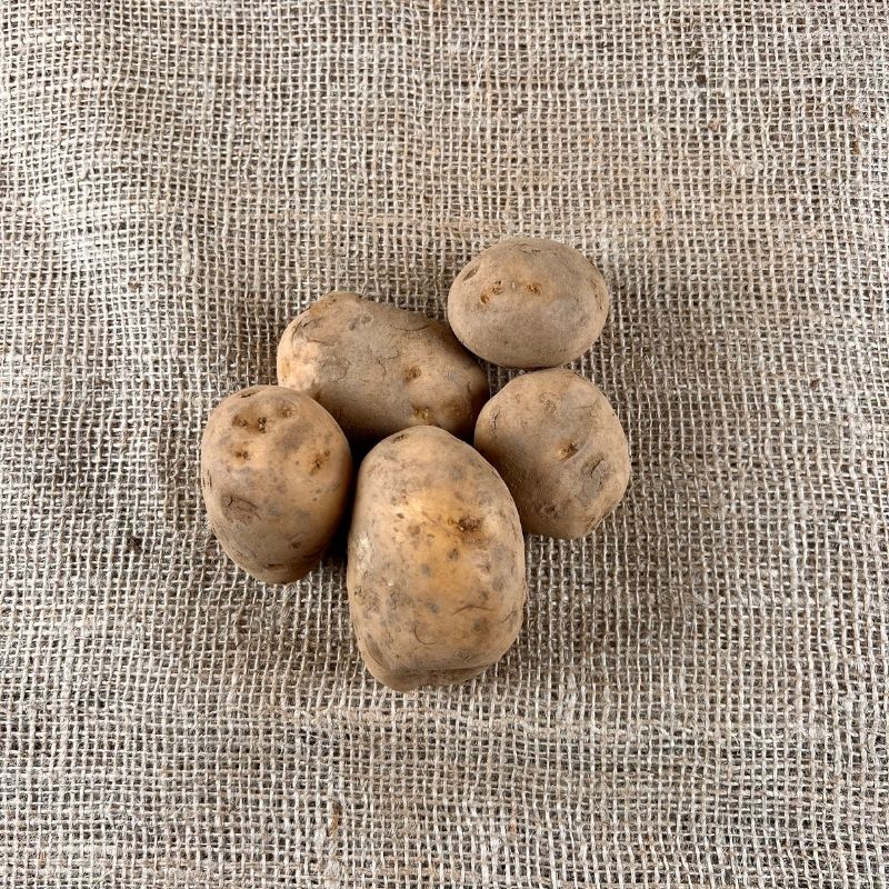 Frieslander aardappelen