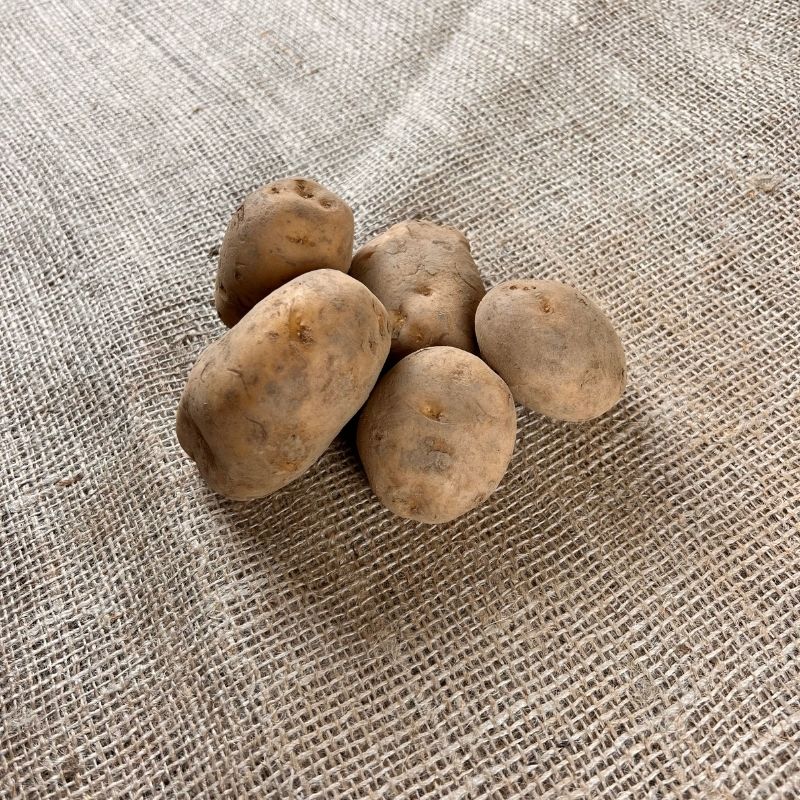 Frieslander aardappelen