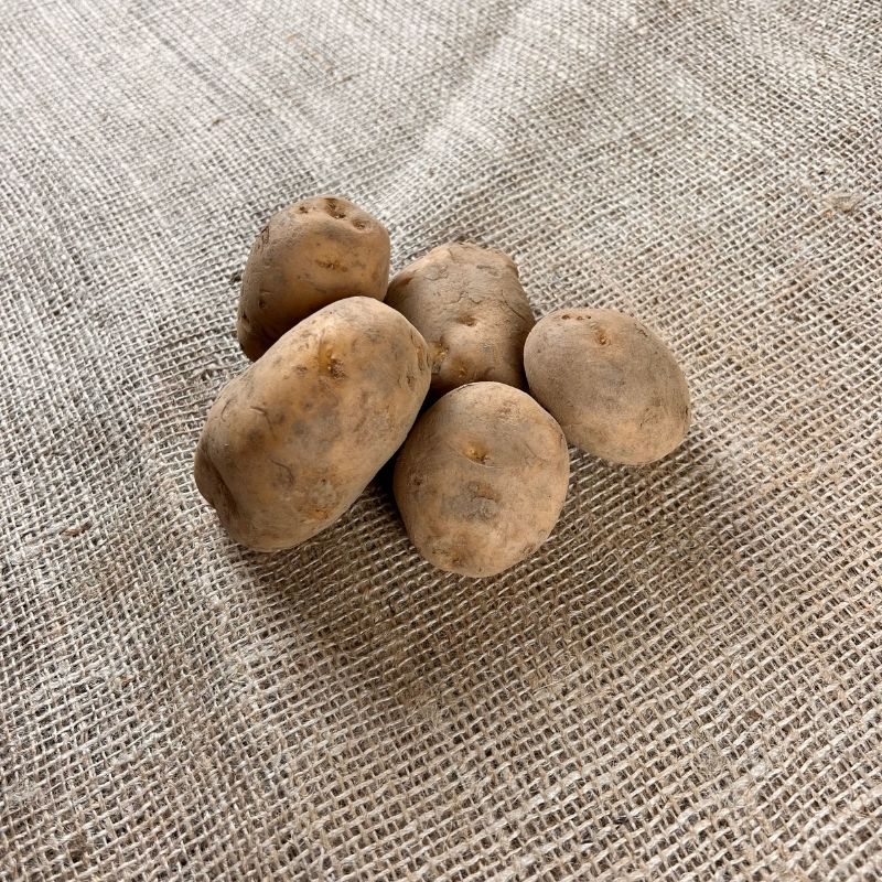 Frieslander aardappelen - Nieuwe Oogst 2023