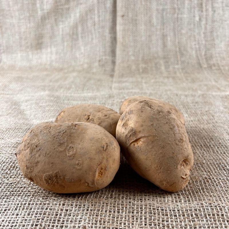 Frieslander aardappelen