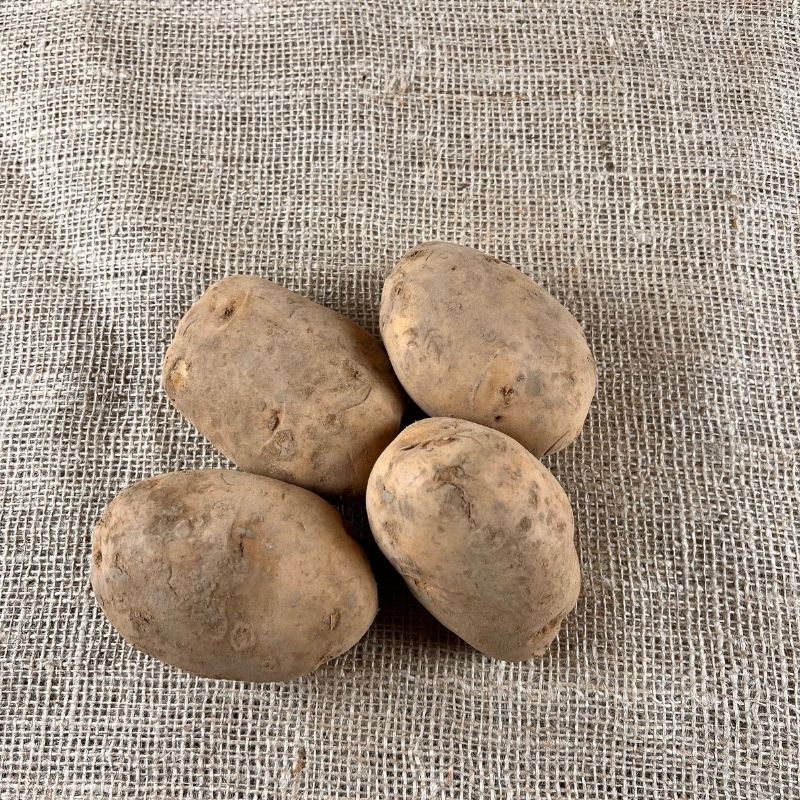 Frieslander aardappelen