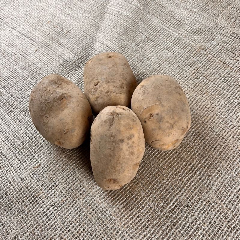 Frieslander aardappelen