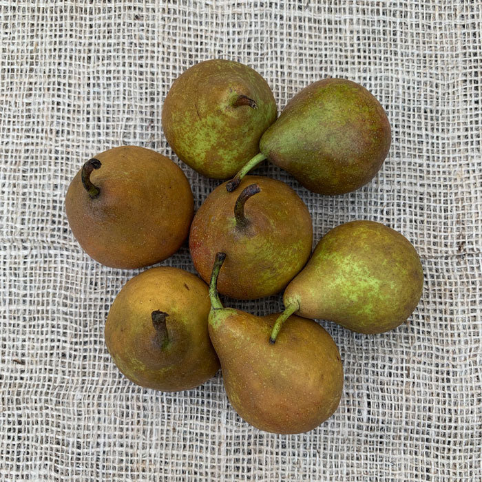 Gieser Wildeman Peren