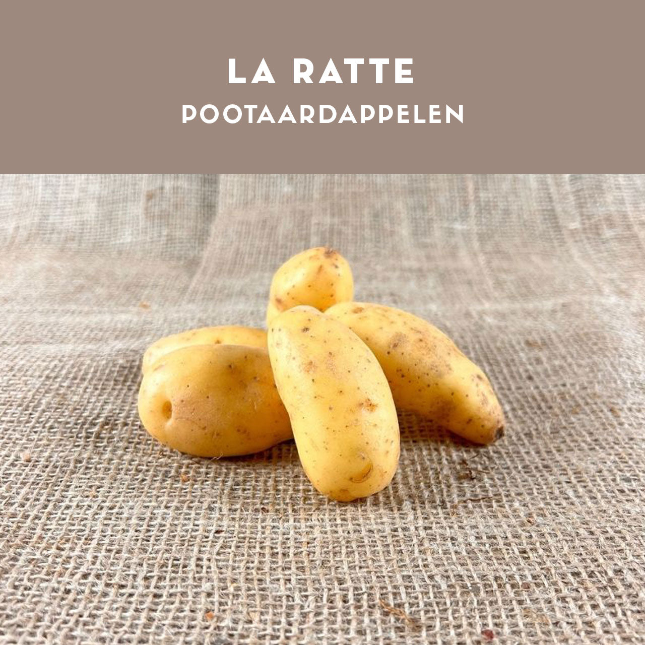 La Ratte pootaardappelen 25/32