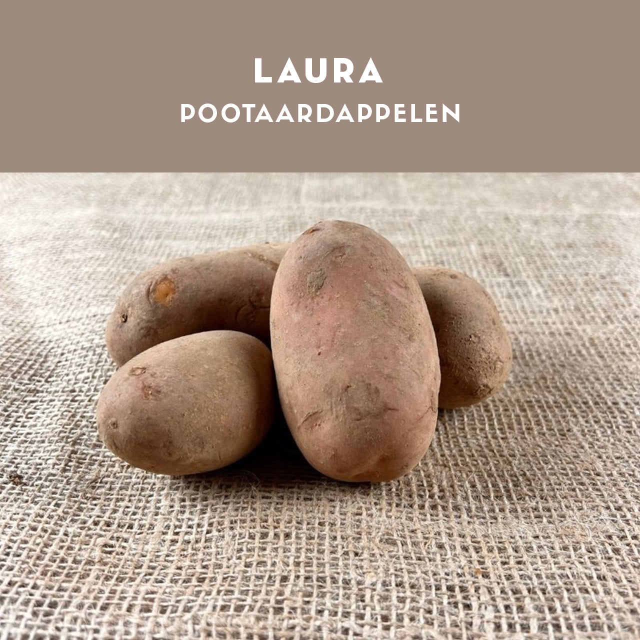 Laura pootaardappelen 28/35