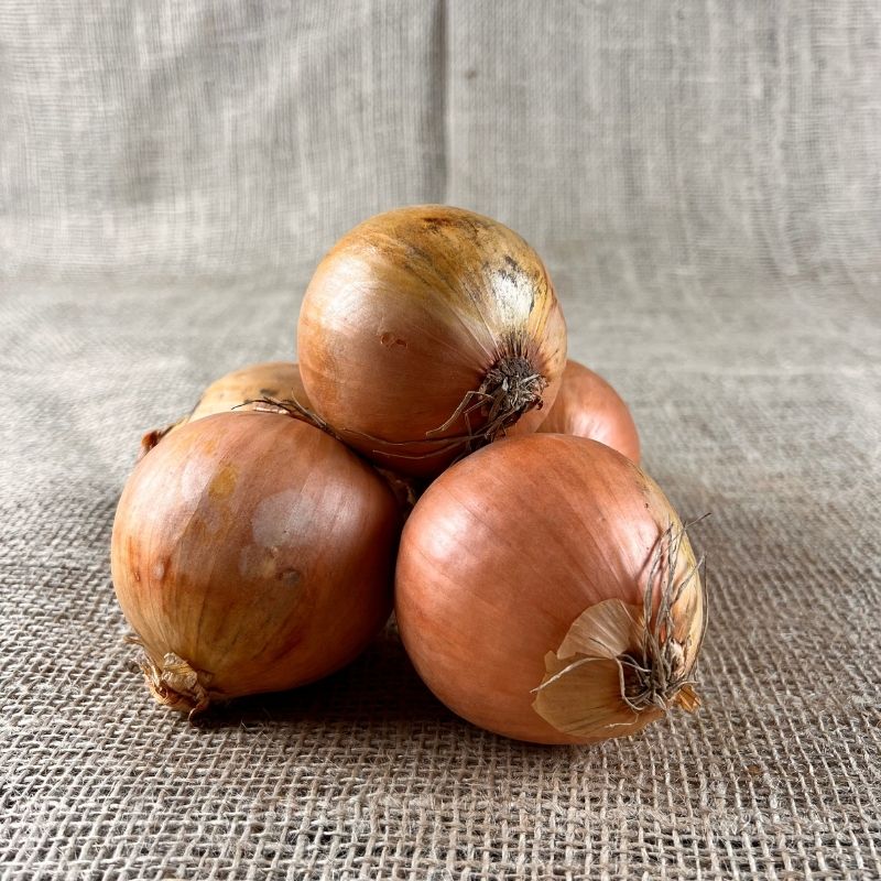 Uien Sorten Uien - Aardappelshop | Uien nieuwe oogst
