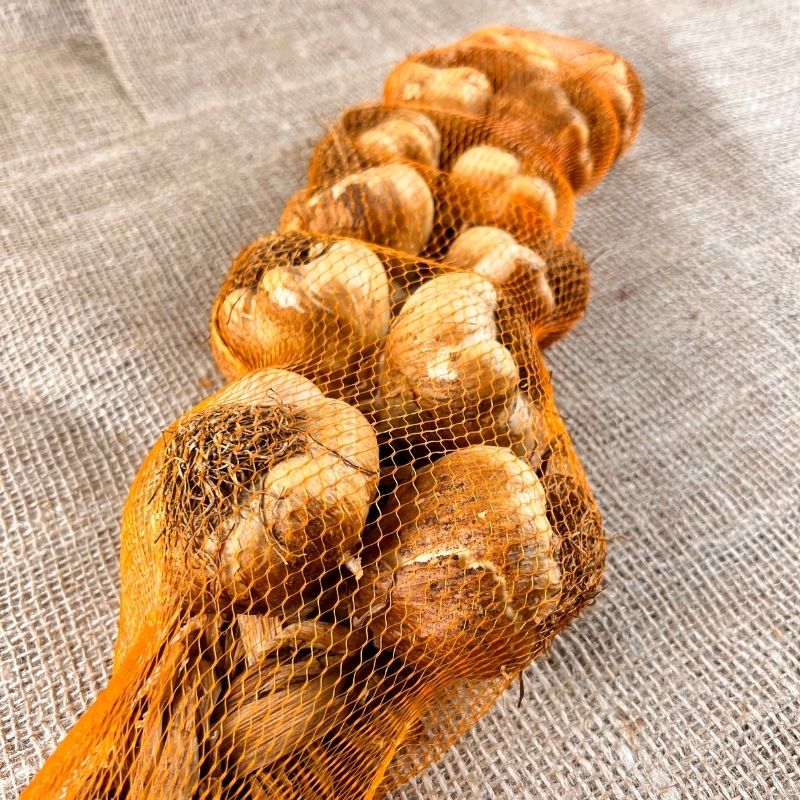 Gerookte Knoflookstreng